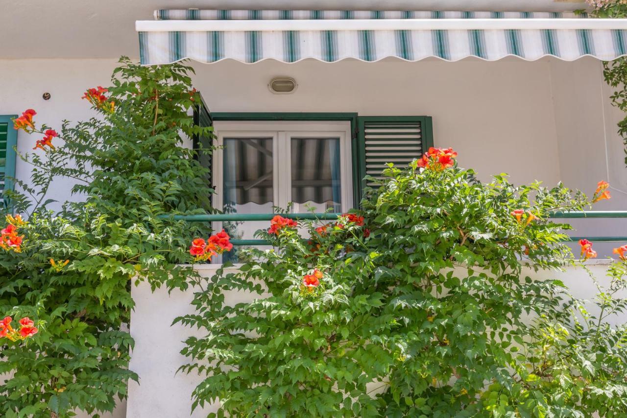 Apartmani Marko Тучепи Экстерьер фото